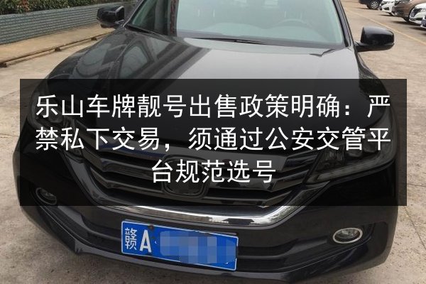 乐山车牌靓号出售政策明确:严禁私下交易,须通过公安交管平台规范选号 第2张 乐山车牌靓号出售政策明确:严禁私下交易,须通过公安交管平台规范选号 第2张