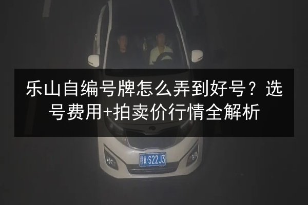 乐山自编号牌怎么弄到好号？选号费用+拍卖价行情全解析 第3张