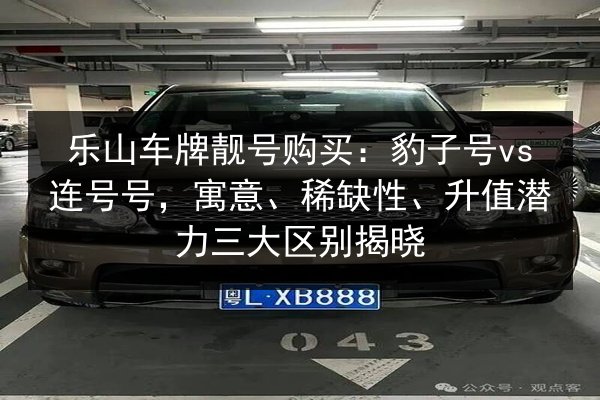 乐山车牌靓号购买:豹子号vs连号号,寓意、稀缺性、升值潜力三大区别揭晓 第3张 乐山车牌靓号购买:豹子号vs连号号,寓意、稀缺性、升值潜力三大区别揭晓 第3张