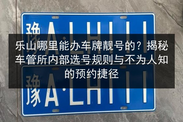 乐山哪里能办车牌靓号的？揭秘车管所内部选号规则与不为人知的预约捷径 第2张