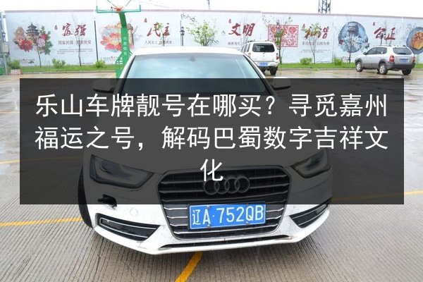 乐山车牌靓号在哪买？寻觅嘉州福运之号，解码巴蜀数字吉祥文化 第2张