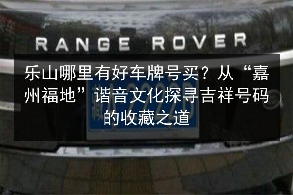 乐山哪里有好车牌号买？从“嘉州福地”谐音文化探寻吉祥号码的收藏之道 第2张