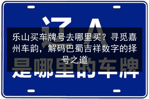 乐山买车牌号去哪里买？寻觅嘉州车韵，解码巴蜀吉祥数字的择号之道 第2张