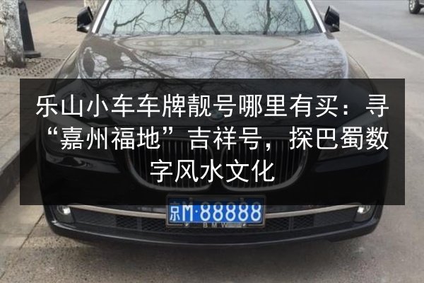 乐山小车车牌靓号哪里有买：寻“嘉州福地”吉祥号，探巴蜀数字风水文化 第2张