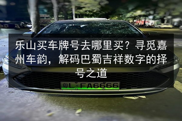 乐山买车牌号去哪里买？寻觅嘉州车韵，解码巴蜀吉祥数字的择号之道 第3张