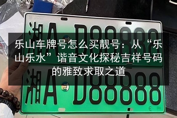 乐山车牌号怎么买靓号:从“乐山乐水”谐音文化探秘吉祥号码的雅致求取之道 第2张 乐山车牌号怎么买靓号:从“乐山乐水”谐音文化探秘吉祥号码的雅致求取之道 第2张