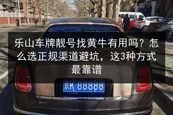 乐山车牌靓号找黄牛有用吗?怎么选正规渠道避坑,这3种方式最靠谱 第2张 乐山车牌靓号找黄牛有用吗?怎么选正规渠道避坑,这3种方式最靠谱 第2张