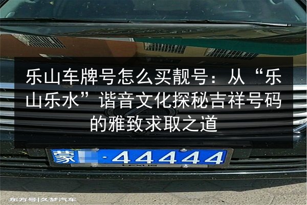 乐山车牌号怎么买靓号:从“乐山乐水”谐音文化探秘吉祥号码的雅致求取之道 第3张 乐山车牌号怎么买靓号:从“乐山乐水”谐音文化探秘吉祥号码的雅致求取之道 第3张