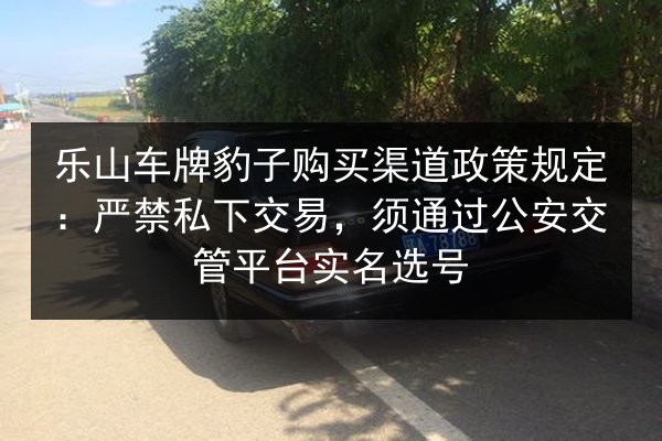 乐山车牌豹子购买渠道政策规定:严禁私下交易,须通过公安交管平台实名选号 第3张 乐山车牌豹子购买渠道政策规定:严禁私下交易,须通过公安交管平台实名选号 第3张