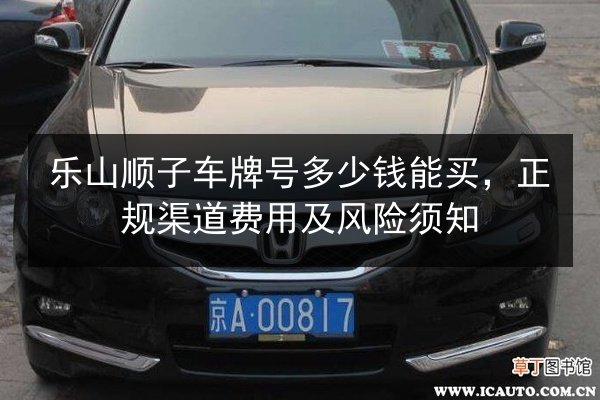 乐山顺子车牌号多少钱能买，正规渠道费用及风险须知 第2张