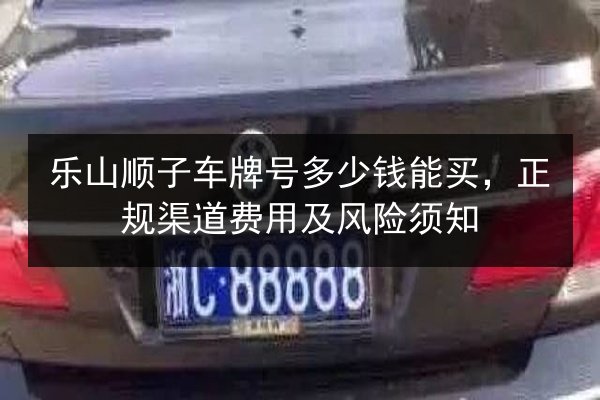 乐山顺子车牌号多少钱能买，正规渠道费用及风险须知 第3张