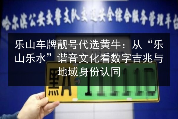 乐山车牌靓号代选黄牛：从“乐山乐水”谐音文化看数字吉兆与地域身份认同 第2张