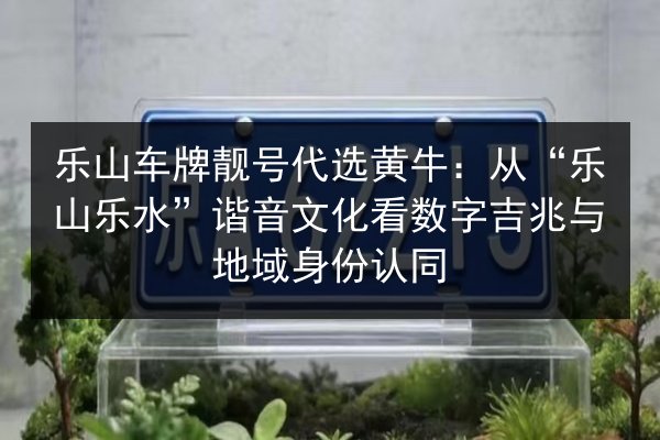乐山车牌靓号代选黄牛：从“乐山乐水”谐音文化看数字吉兆与地域身份认同 第3张