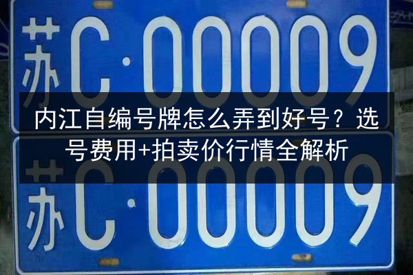 内江自编号牌怎么弄到好号？选号费用+拍卖价行情全解析 第3张