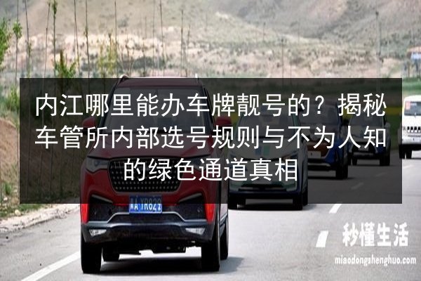 内江哪里能办车牌靓号的?揭秘车管所内部选号规则与不为人知的绿色通道真相 第2张 内江哪里能办车牌靓号的?揭秘车管所内部选号规则与不为人知的绿色通道真相 第2张