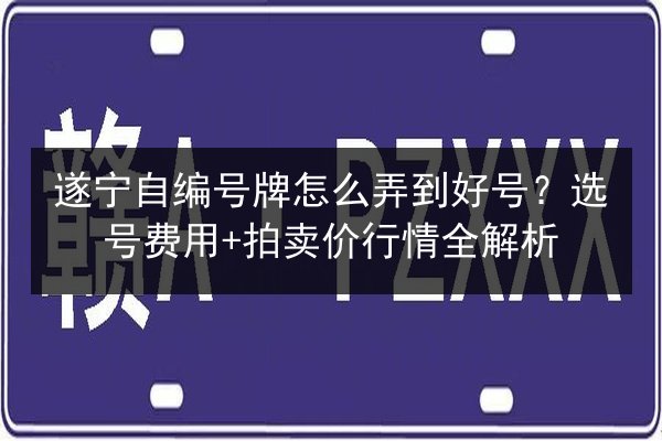 遂宁自编号牌怎么弄到好号？选号费用+拍卖价行情全解析 第1张