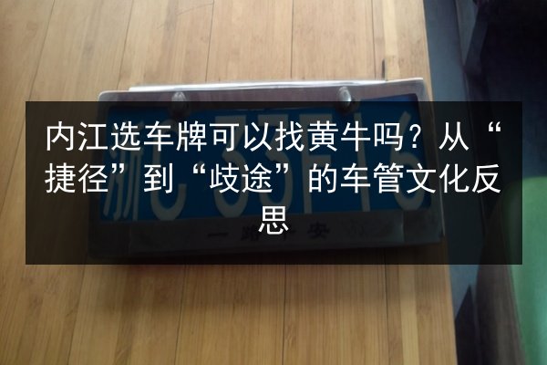 内江选车牌可以找黄牛吗?从“捷径”到“歧途”的车管文化反思 第3张 内江选车牌可以找黄牛吗?从“捷径”到“歧途”的车管文化反思 第3张