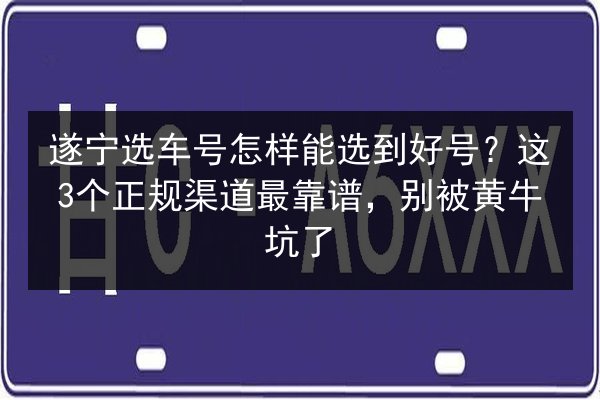 遂宁选车号怎样能选到好号?这3个正规渠道最靠谱,别被黄牛坑了 第2张 遂宁选车号怎样能选到好号?这3个正规渠道最靠谱,别被黄牛坑了 第2张
