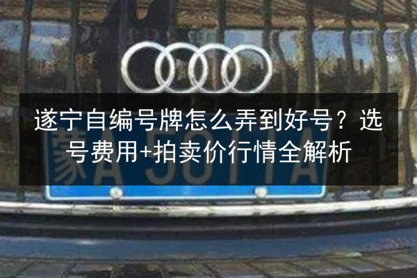 遂宁自编号牌怎么弄到好号？选号费用+拍卖价行情全解析 第3张