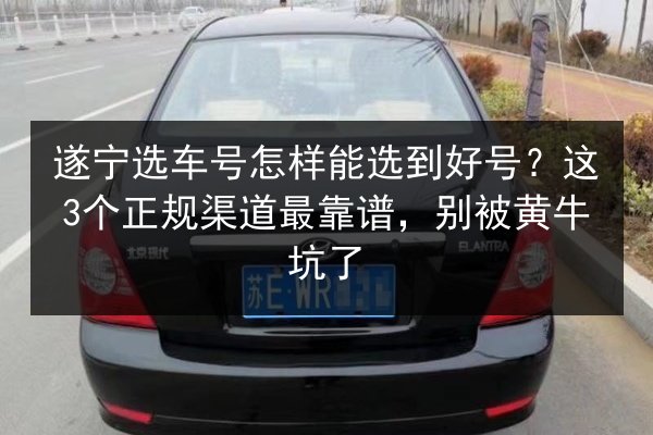 遂宁选车号怎样能选到好号?这3个正规渠道最靠谱,别被黄牛坑了 第3张 遂宁选车号怎样能选到好号?这3个正规渠道最靠谱,别被黄牛坑了 第3张