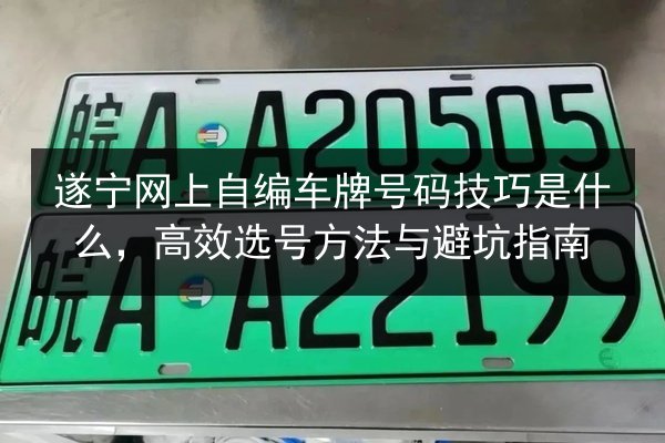 遂宁网上自编车牌号码技巧是什么,高效选号方法与避坑指南 第3张 遂宁网上自编车牌号码技巧是什么,高效选号方法与避坑指南 第3张