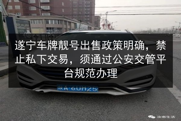 遂宁车牌靓号出售政策明确，禁止私下交易，须通过公安交管平台规范办理 第3张