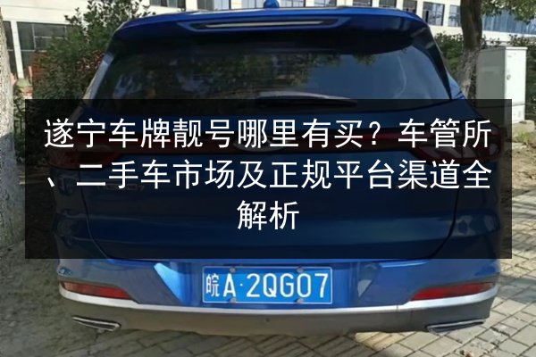 遂宁车牌靓号哪里有买？车管所、二手车市场及正规平台渠道全解析 第2张