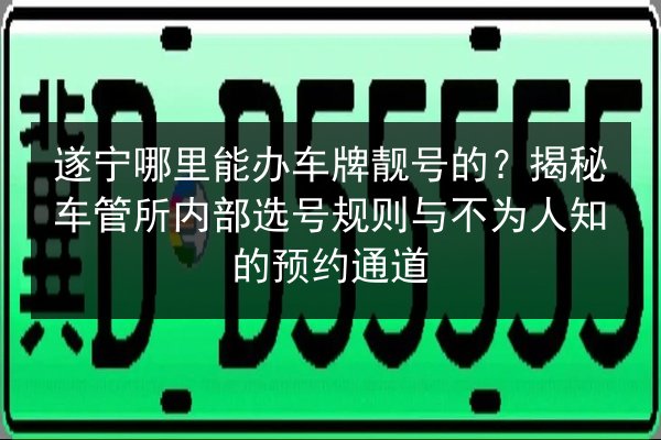 遂宁哪里能办车牌靓号的?揭秘车管所内部选号规则与不为人知的预约通道 第2张 遂宁哪里能办车牌靓号的?揭秘车管所内部选号规则与不为人知的预约通道 第2张