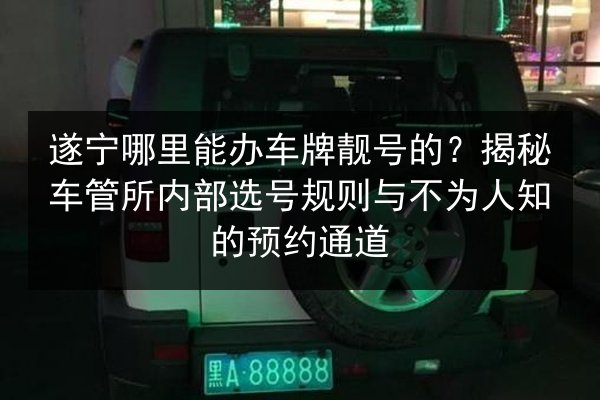 遂宁哪里能办车牌靓号的?揭秘车管所内部选号规则与不为人知的预约通道 第3张 遂宁哪里能办车牌靓号的?揭秘车管所内部选号规则与不为人知的预约通道 第3张