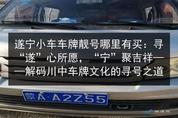 遂宁小车车牌靓号哪里有买:寻“遂”心所愿,“宁”聚吉祥——解码川中车牌文化的寻号之道 第2张 遂宁小车车牌靓号哪里有买:寻“遂”心所愿,“宁”聚吉祥——解码川中车牌文化的寻号之道 第2张