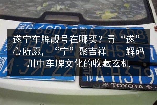 遂宁车牌靓号在哪买？寻“遂”心所愿，“宁”聚吉祥——解码川中车牌文化的收藏玄机 第3张