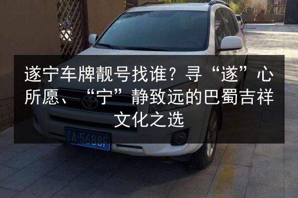 遂宁车牌靓号找谁?寻“遂”心所愿、“宁”静致远的巴蜀吉祥文化之选 第2张 遂宁车牌靓号找谁?寻“遂”心所愿、“宁”静致远的巴蜀吉祥文化之选 第2张