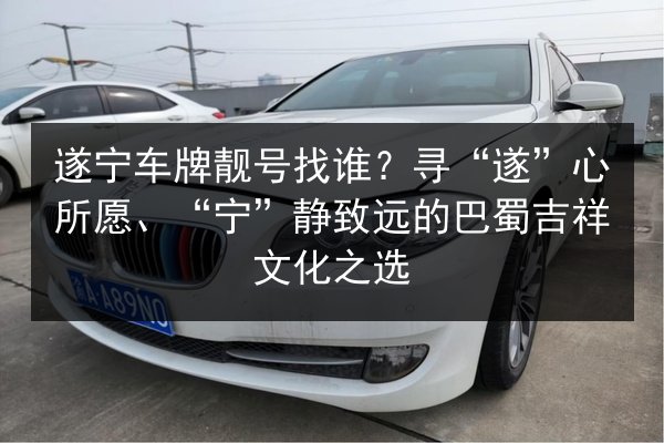 遂宁车牌靓号找谁?寻“遂”心所愿、“宁”静致远的巴蜀吉祥文化之选 第3张 遂宁车牌靓号找谁?寻“遂”心所愿、“宁”静致远的巴蜀吉祥文化之选 第3张