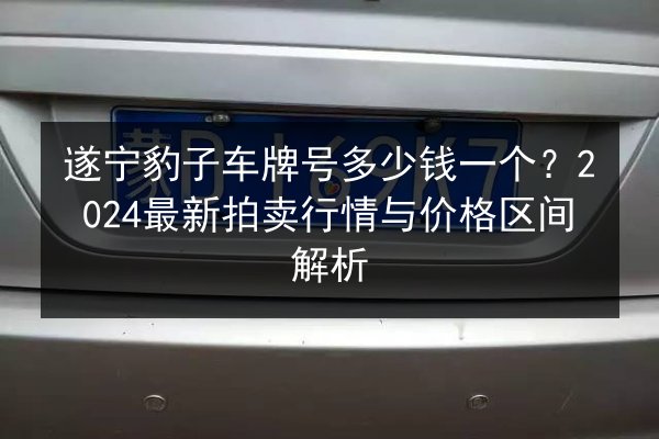 遂宁豹子车牌号多少钱一个？2024最新拍卖行情与价格区间解析