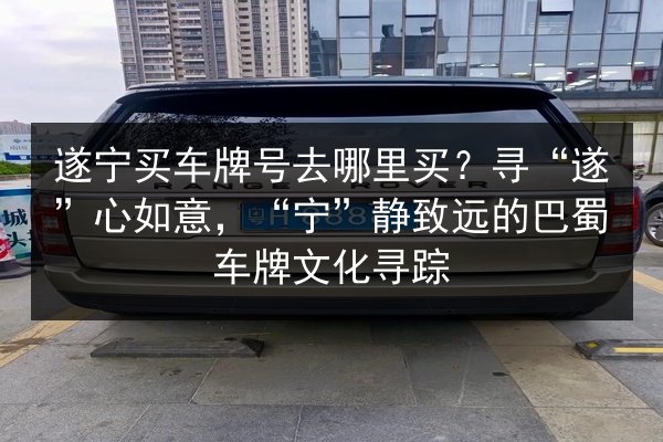 遂宁买车牌号去哪里买？寻“遂”心如意，“宁”静致远的巴蜀车牌文化寻踪 第2张