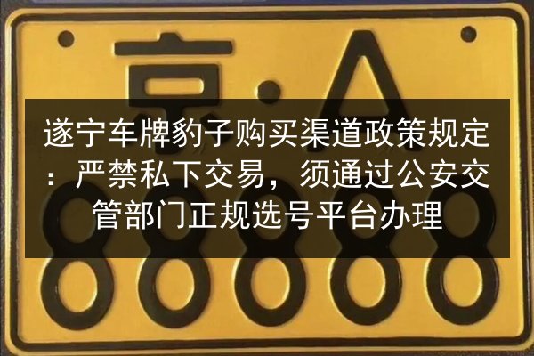 遂宁车牌豹子购买渠道政策规定：严禁私下交易，须通过公安交管部门正规选号平台办理 第1张