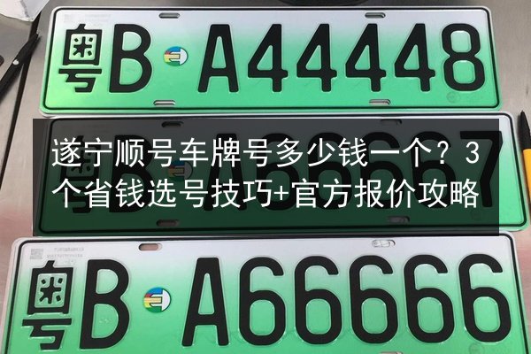 遂宁顺号车牌号多少钱一个？3个省钱选号技巧+官方报价攻略 第3张