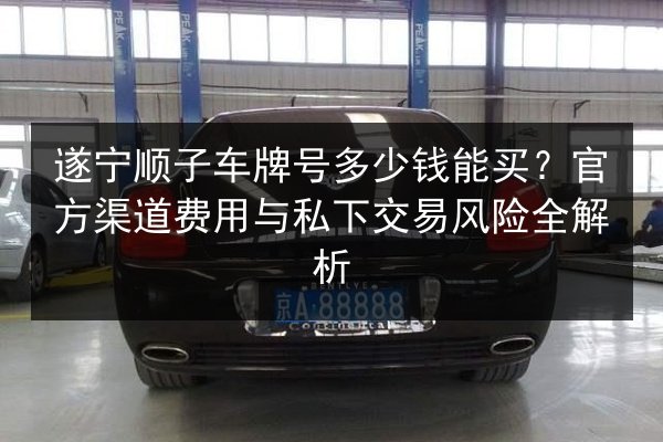 遂宁顺子车牌号多少钱能买？官方渠道费用与私下交易风险全解析 第3张