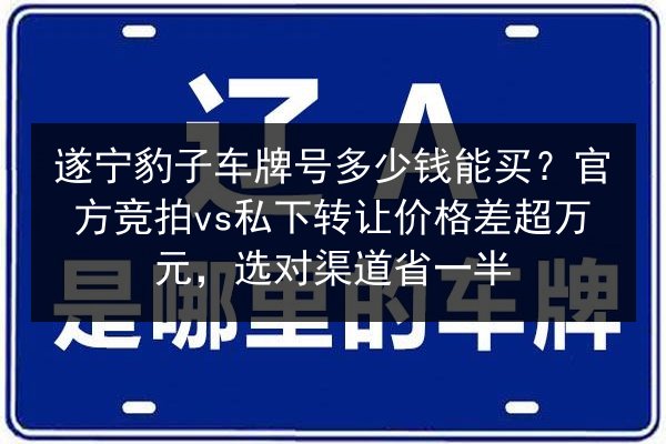 遂宁豹子车牌号多少钱能买?官方竞拍vs私下转让价格差超万元,选对渠道省一半 第3张 遂宁豹子车牌号多少钱能买?官方竞拍vs私下转让价格差超万元,选对渠道省一半 第3张