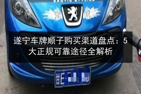 遂宁车牌顺子购买渠道盘点：5大正规可靠途径全解析 第3张