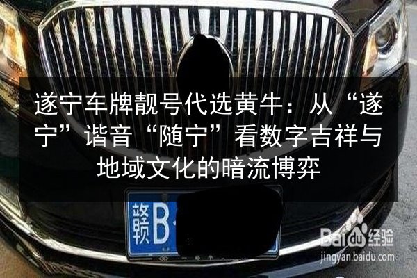 遂宁车牌靓号代选黄牛：从“遂宁”谐音“随宁”看数字吉祥与地域文化的暗流博弈 第2张