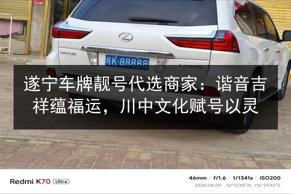 遂宁车牌靓号代选商家：谐音吉祥蕴福运，川中文化赋号以灵 第2张