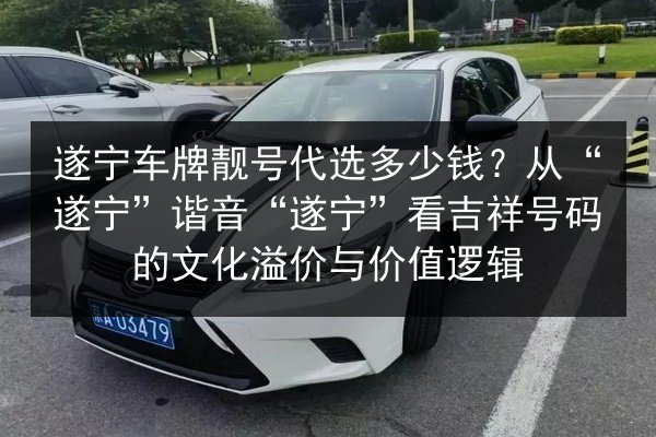 遂宁车牌靓号代选多少钱？从“遂宁”谐音“遂宁”看吉祥号码的文化溢价与价值逻辑 第2张