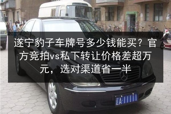 遂宁豹子车牌号多少钱能买?官方竞拍vs私下转让价格差超万元,选对渠道省一半 第4张 遂宁豹子车牌号多少钱能买?官方竞拍vs私下转让价格差超万元,选对渠道省一半 第4张