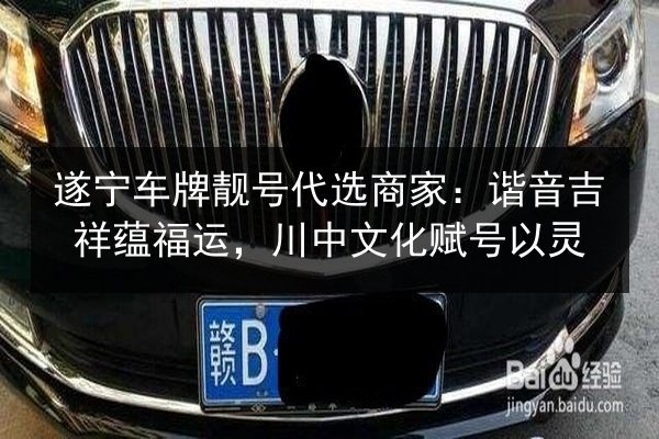 遂宁车牌靓号代选商家：谐音吉祥蕴福运，川中文化赋号以灵 第3张