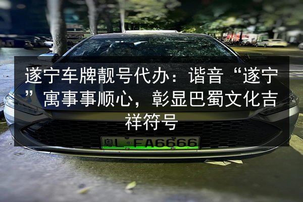 遂宁车牌靓号代办:谐音“遂宁”寓事事顺心,彰显巴蜀文化吉祥符号 第3张 遂宁车牌靓号代办:谐音“遂宁”寓事事顺心,彰显巴蜀文化吉祥符号 第3张
