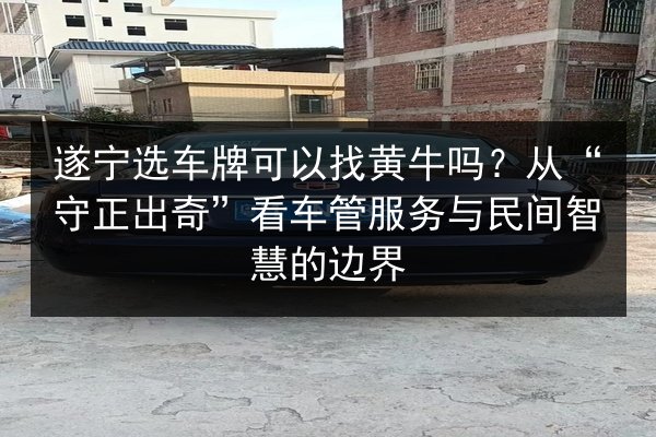 遂宁选车牌可以找黄牛吗？从“守正出奇”看车管服务与民间智慧的边界