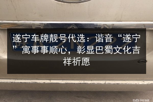 遂宁车牌靓号代选：谐音“遂宁”寓事事顺心，彰显巴蜀文化吉祥祈愿 第2张