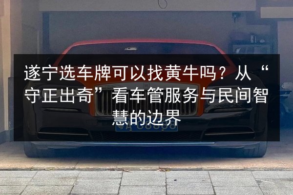 遂宁选车牌可以找黄牛吗？从“守正出奇”看车管服务与民间智慧的边界 第2张