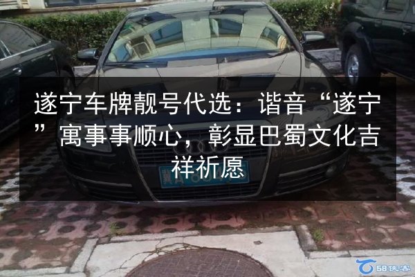 遂宁车牌靓号代选：谐音“遂宁”寓事事顺心，彰显巴蜀文化吉祥祈愿 第3张